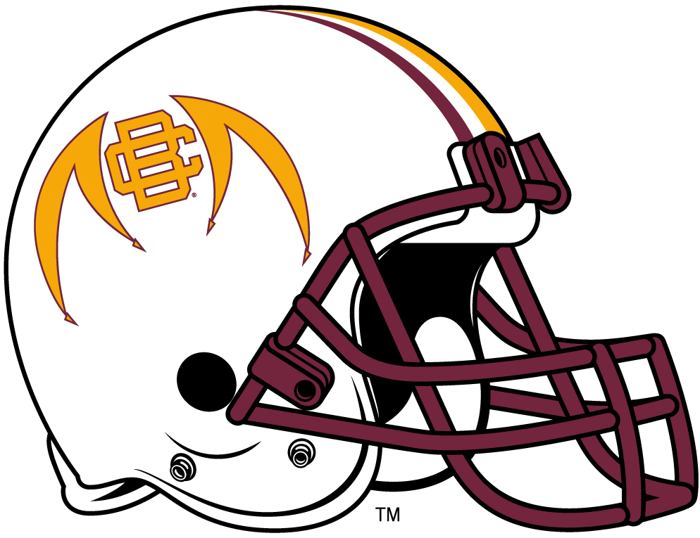 Bethune-Cookman Wildcats 2010-2015 Helmet Logo DIY iron on transfer (heat transfer)